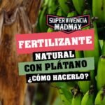 Fertilizante con piel de plátano