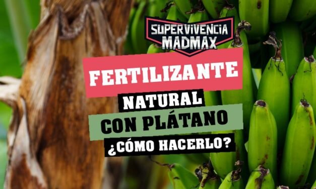 Fertilizante con piel de plátano