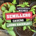 Cómo hacer un semillero casero