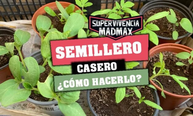 Cómo hacer un semillero casero